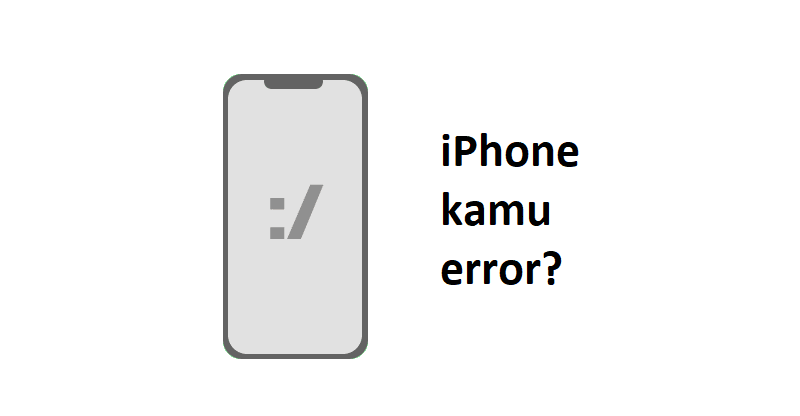 强制重启 iPhone 错误