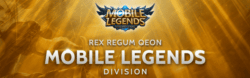 Xinnn이 RRQ Hoshi에서 Gold Laner 시험을 통과했습니까?