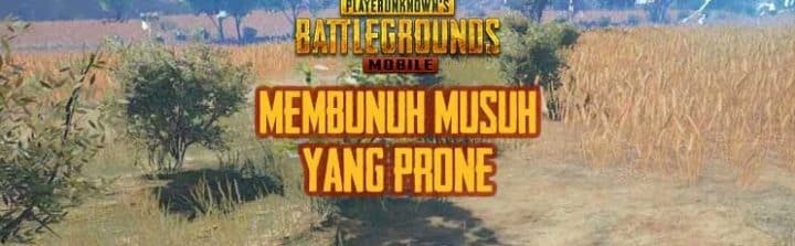 Prone enemies in PUBG Mobile? Fight With These 5 Best Tips!