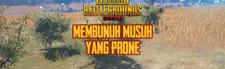 Prones in PUBG Mobile