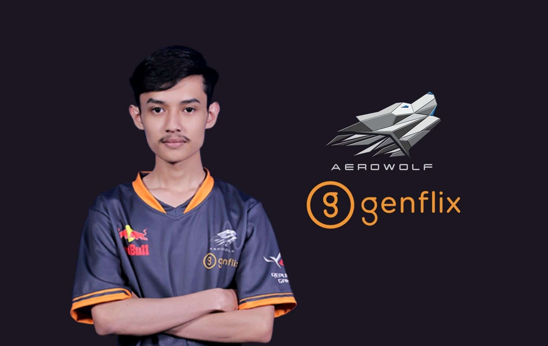 aerowolf rinazmi