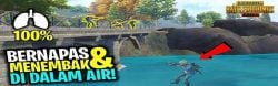 Can Healing and Shooting in Water? Check out these Best 3 Info!