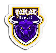 takae esports