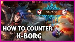 Counter X.Borg Dengan 7 Best Hero Ini!