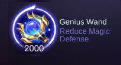 Genius Wand Item Perfect for These 5 Heroes!