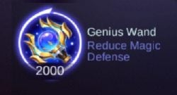 Genius Wand Item Perfect for These 5 Heroes!