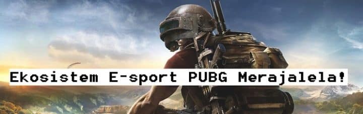 Wow! Ekosistem E-sports PUBG Cukup Baik Loh!