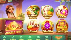 Higgs Domino APK が Play ストアにありません。原因は何ですか?
