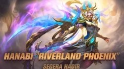 皮肤收藏家花火：图文展示与对比