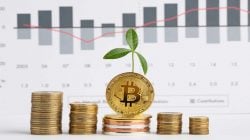 5 Koin Crypto Termurah yang Punya Fundamental Bagus 2022