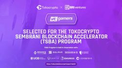 예이! VCGamers, Tokocrypto Sembrani Blockchain Accelerator (TSBA)의 첫 번째 배치에 선정