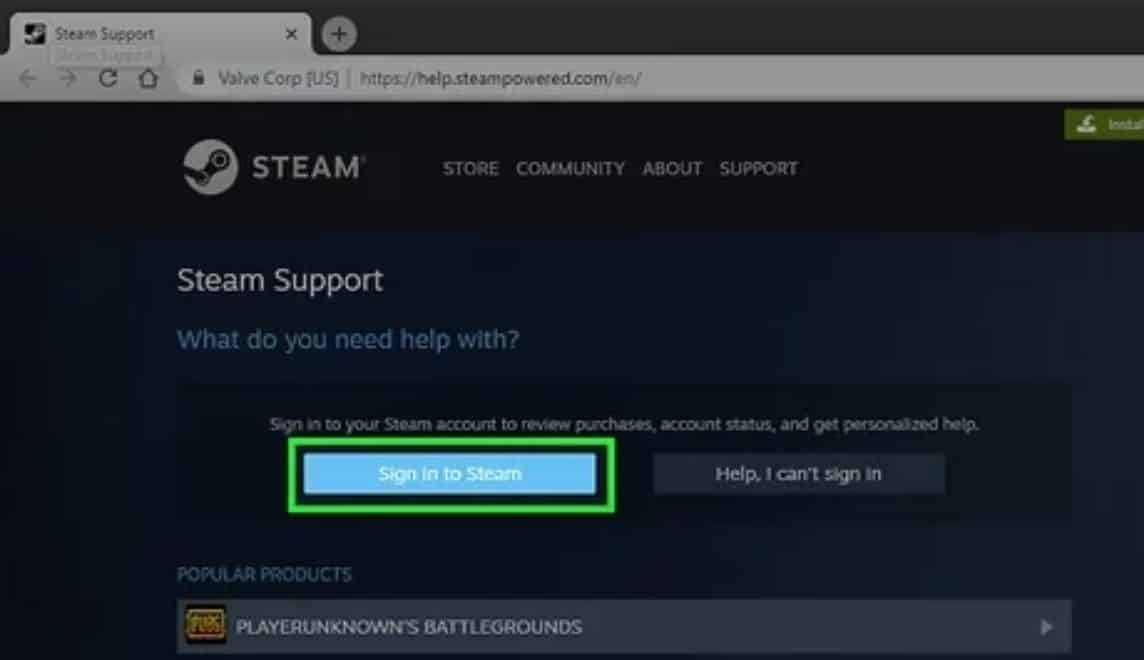 Steam Support