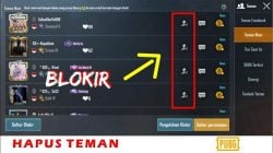 Inilah Cara Mudah Menghapus Teman di PUBG Mobile