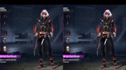 5 Bundle Incubator ff Terbaik yang Pernah Ada
