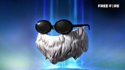 FF BNL's Beard, An Old Item That Players Hunt