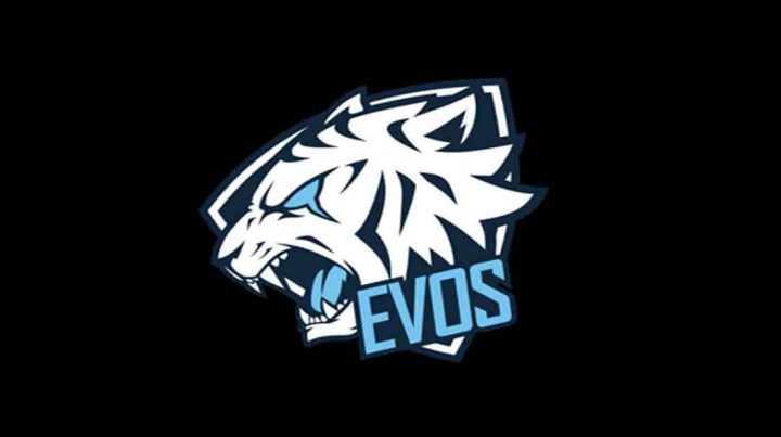 Werfen wir einen Blick auf das Profil des Evos Esport FF-Teams. Wie sieht es aus?