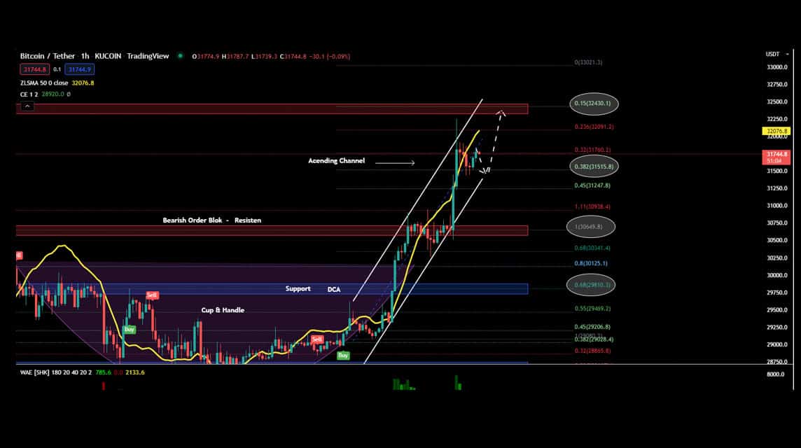 BTC 2022 年 5 月 31 日