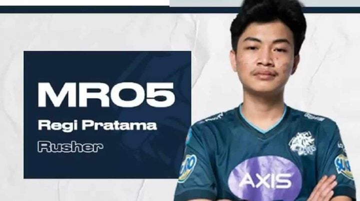 최고의 러셔 중 하나가 된 EVOS Mr 05 프로필입니다.