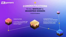 Selamat! Ini Daftar Pemenang RansVerse ILO Whitelist Event