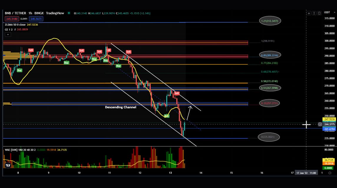 Analisa BNB 13 Juni 2022