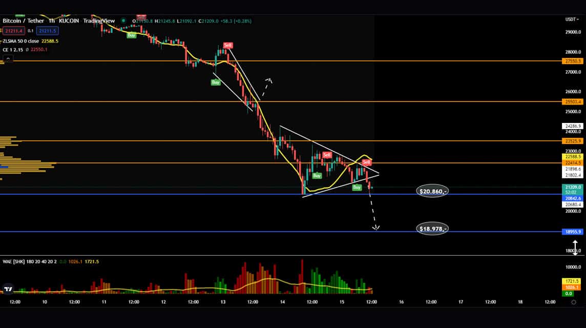 BTC 2022년 6월 15일