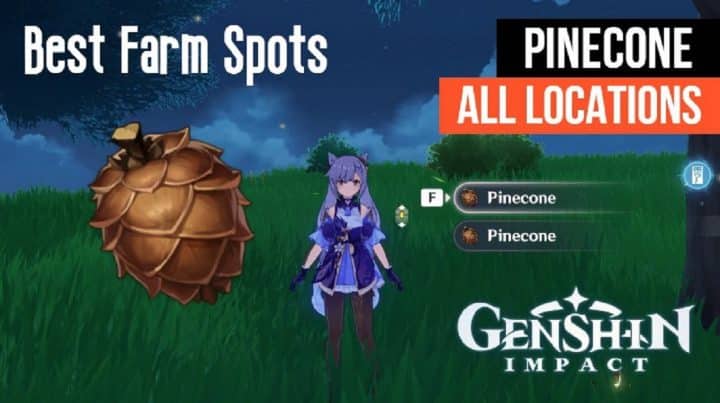 Lokasi Terbaik Untuk Menemukan Pinecones Genshin Impact