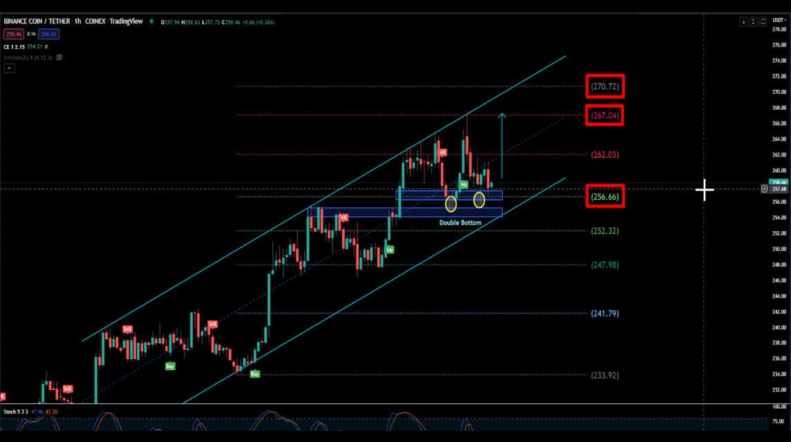 BNB 2022년 7월 19일