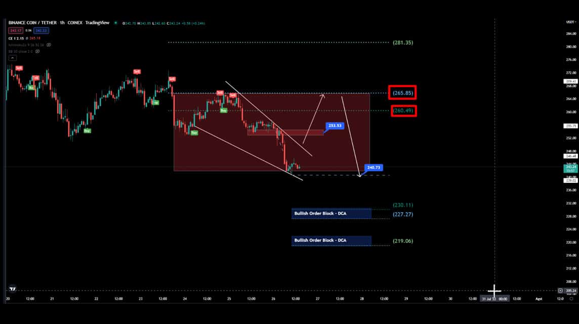 BNB-Prognosen