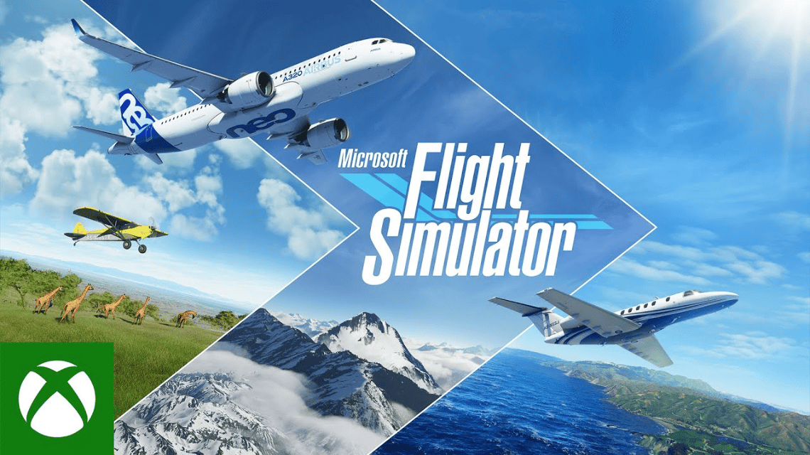 Microsoft Flugsimulator