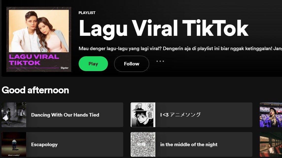 在 spotify 上下载歌曲