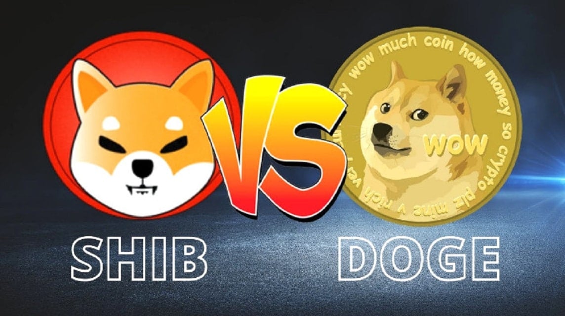 柴犬VSドージェコイン