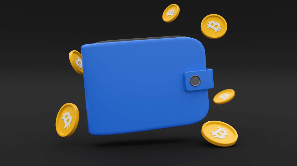 Crypto Wallet illustration