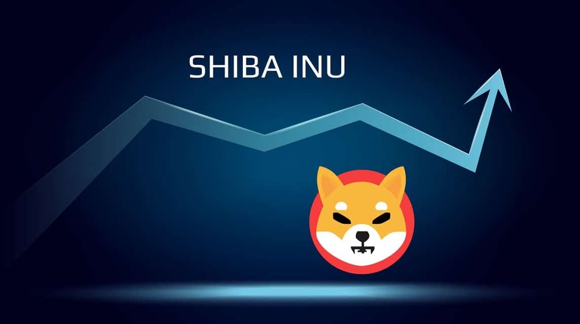 shiba inu 燃烧动作