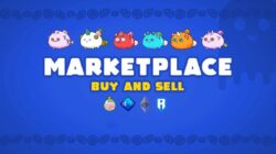 Get to know Axie Marketplace and how it works
