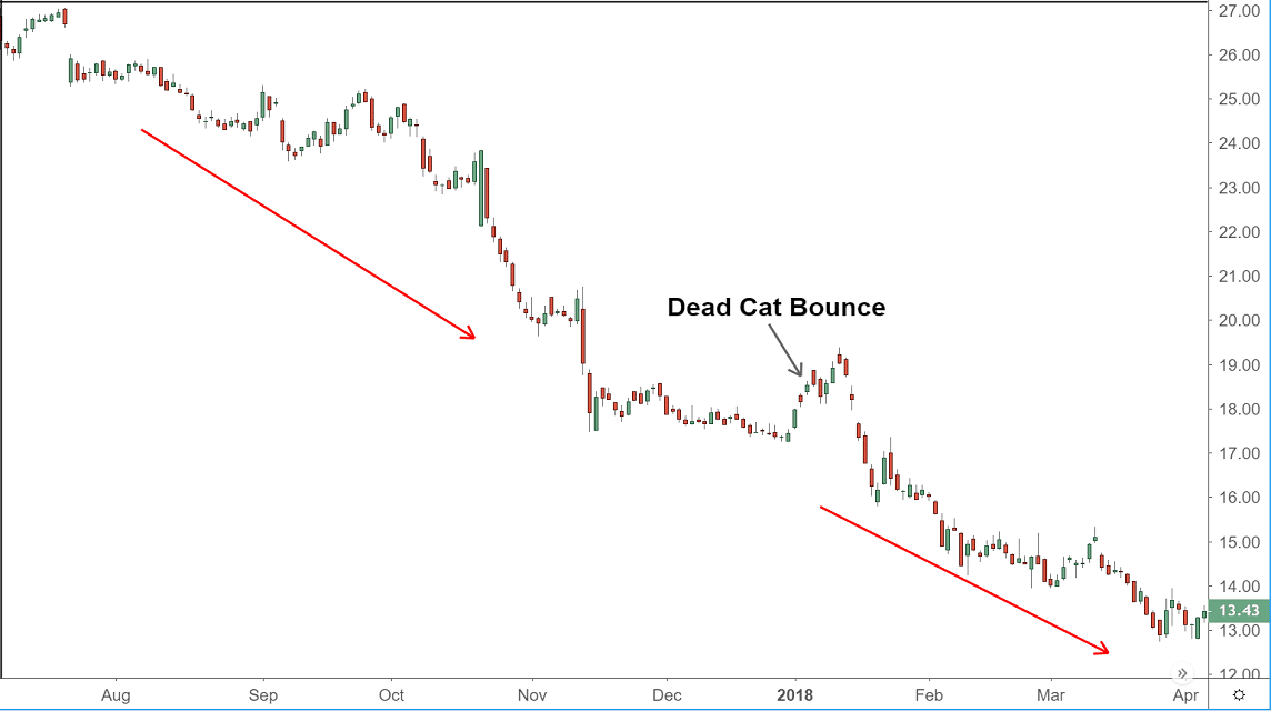 dead cat bounce adalah