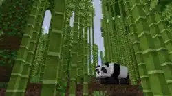更新 1.20 的 Minecraft 中的 Bamboo 功能