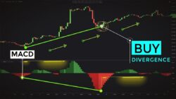 Pengertian Bullish Divergence Dalam Dunia Crypto