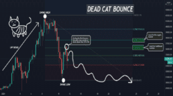 Definition von Dead Cat Bounce in der Kryptowelt