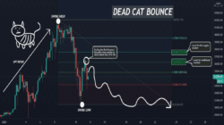 Crypto World에서 Dead Cat Bounce의 정의