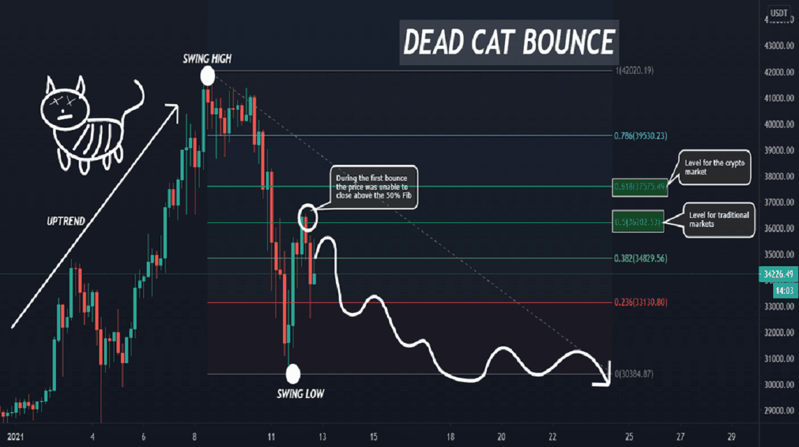 Dead Cat Bounce