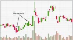 Marubozu Candle: Definition, Function, How to Use It for Trading