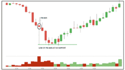 Understanding Pin Bar Candles and How to Use Them