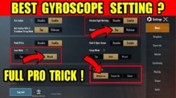 Best PUBG Mobile Gyroscope Setting, Auto Chicken Dinner!