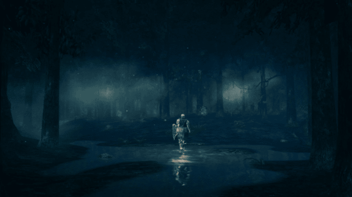 The Use of the Soul of Moonlight Butterfly in the Game Dark Souls