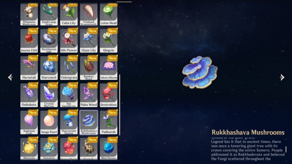 Details of Rukkhadevata Missing After Archon Quest Genshin Impact