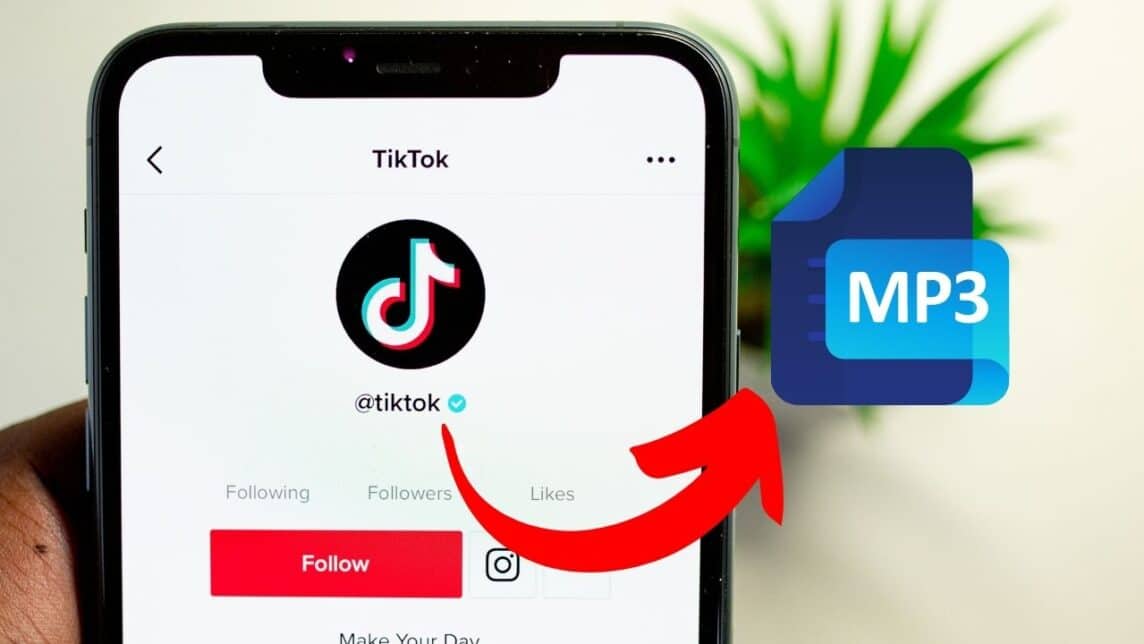 Laden Sie den Tiktok-Sound auf WA herunter