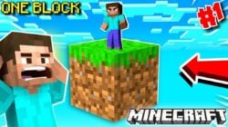 Cara Menempatkan Block Minecraft di Laptop, Catat Ini!