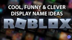 멋진 Roblox 이름의 최신 컬렉션, 서두르세요!