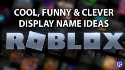 最新的酷炫 Roblox 名字合集，快点！