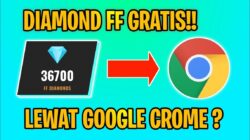 来自最新 Google 的免费 FF Diamond Spin，观看！